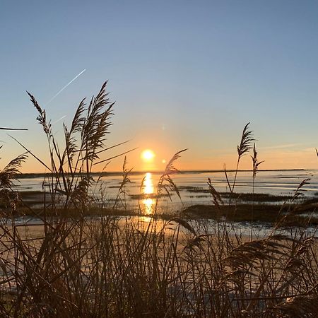 La Villa Des Trois Pins Andernos-les-Bains Exteriér fotografie